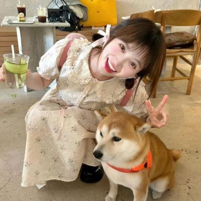 莫奇的故事