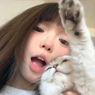 血型拼图